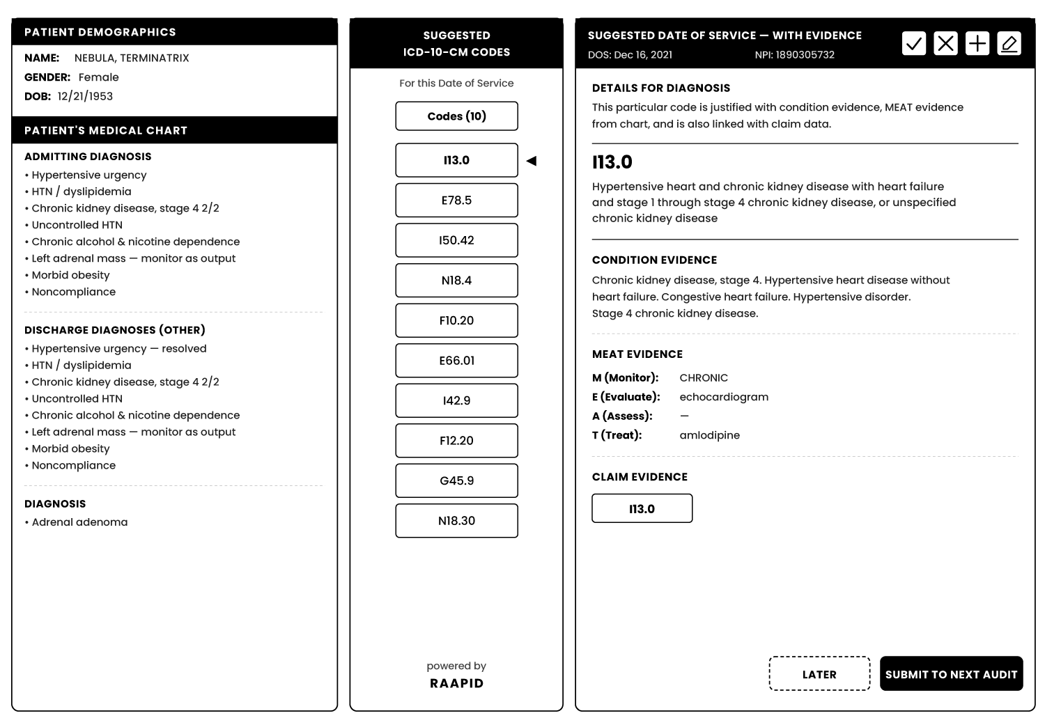 RAAPID Coder Review Interface 1 figure 5